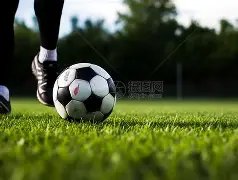 東南區組賽,閉幕,次日進行交,皇冠体育官网,Crown,SPORTS,皇冠体育中国官网,Crown体育平台,皇冠体育服务